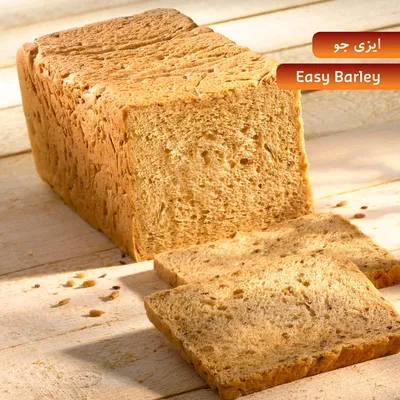 ایزی سافتر تست