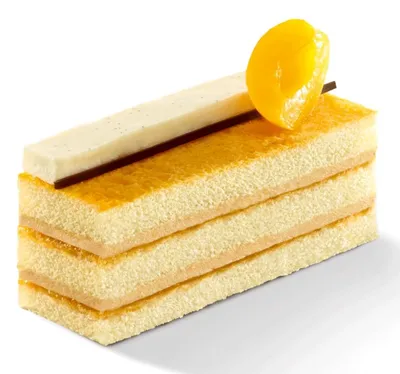تگرال اسپونج